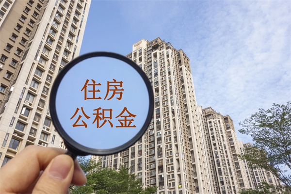 葫芦岛辞职了补充公积金能取不（辞职后补充公积金如何提取）
