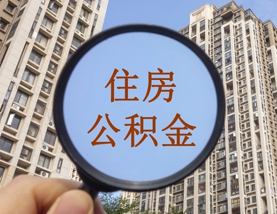 葫芦岛辞职了公积金怎么取（辞职了之后公积金怎么取）